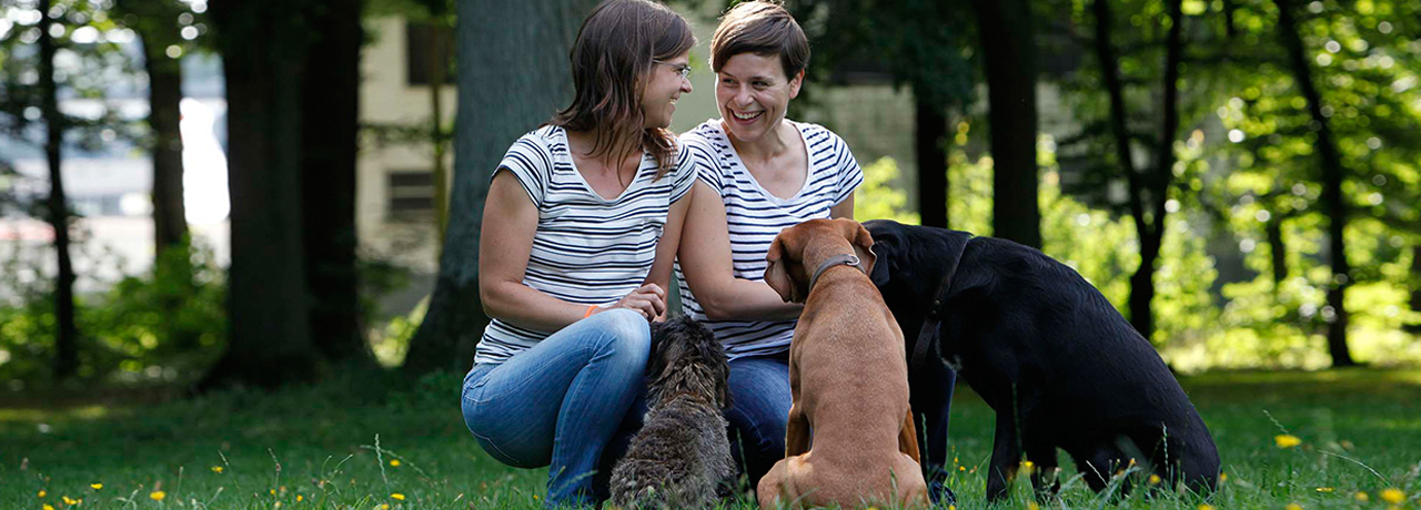 Kontakt Hundeschule Hansehund