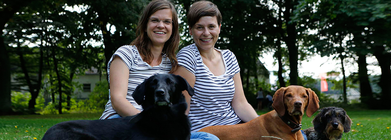 Team Hansehund