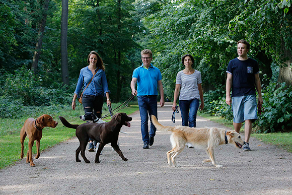 Hundebeschäftigung Hamburg