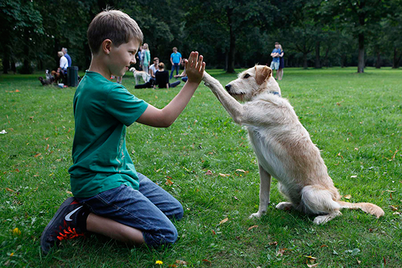 Kinderkurs Hundeschule Hamburg