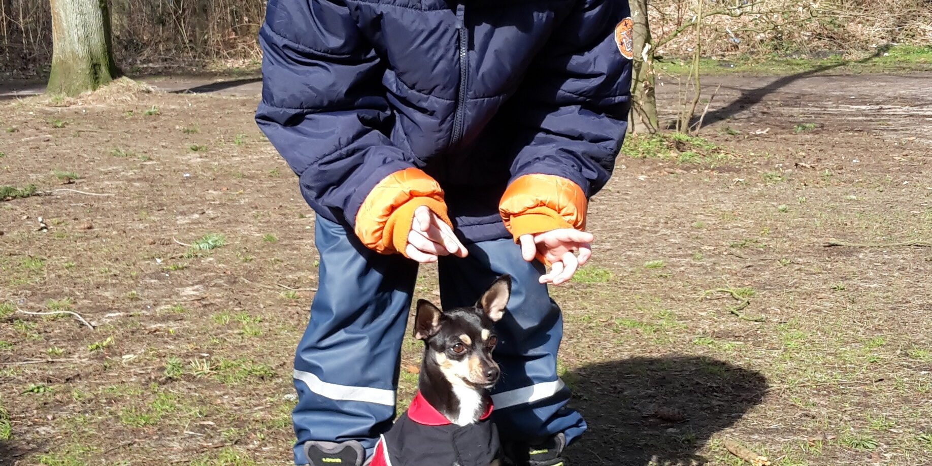 Zwiebel Trick Einparken