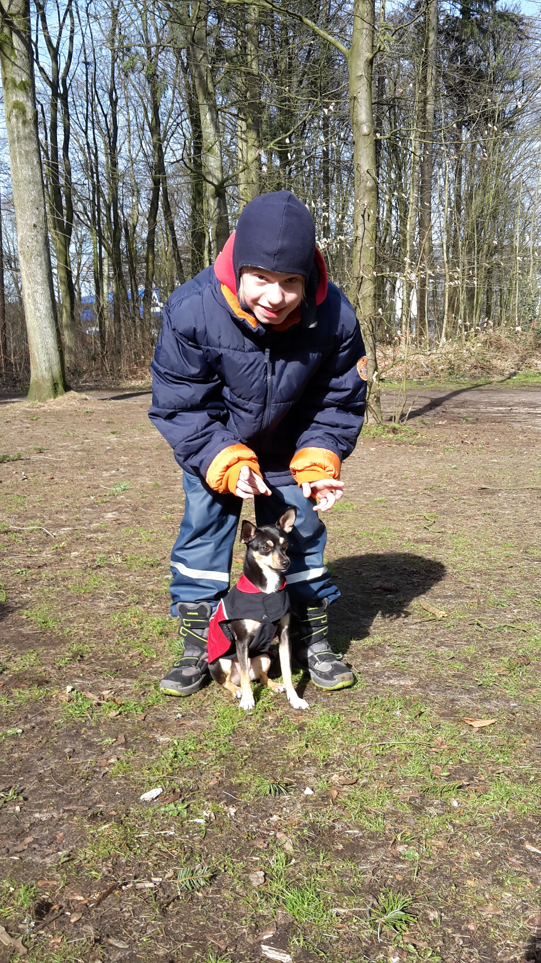 Manege Frei Im Volkspark Hansehund Die Hundeschule In Hamburg