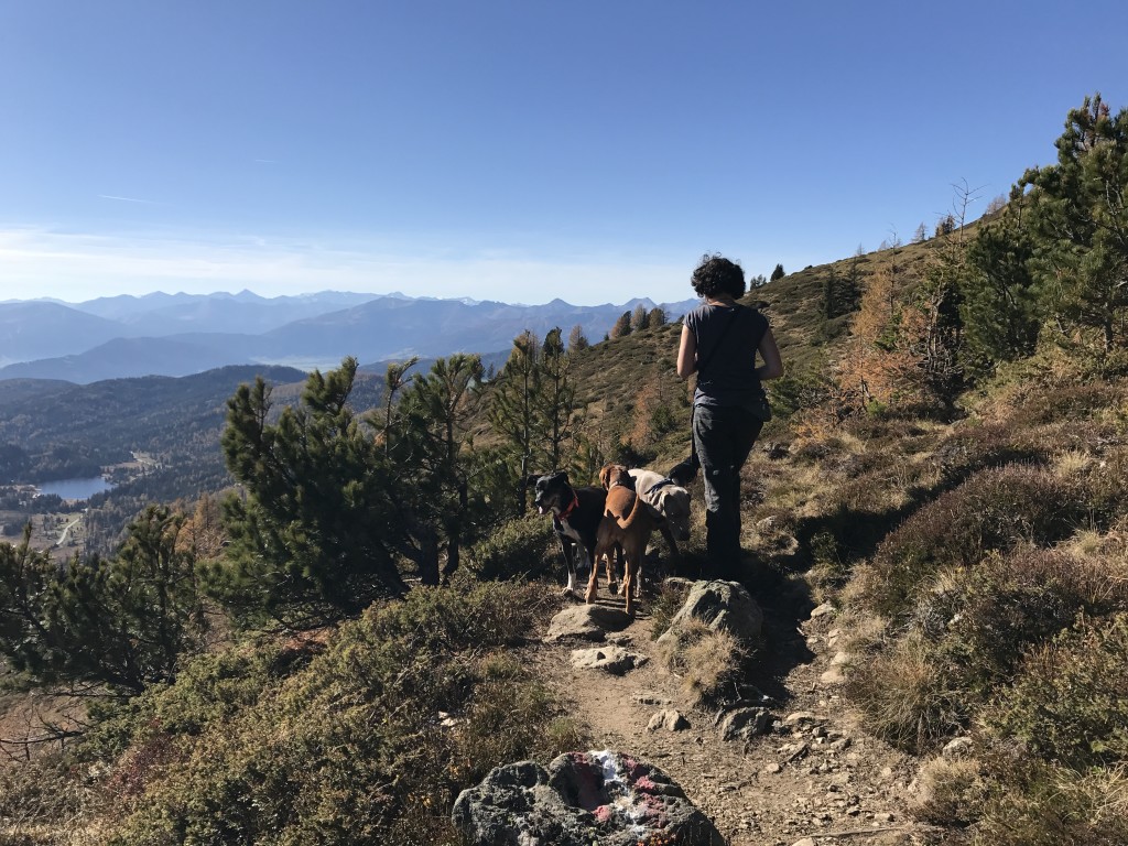 Bild_Prebersee3_Hansehund_Hundeschule_Hamburg