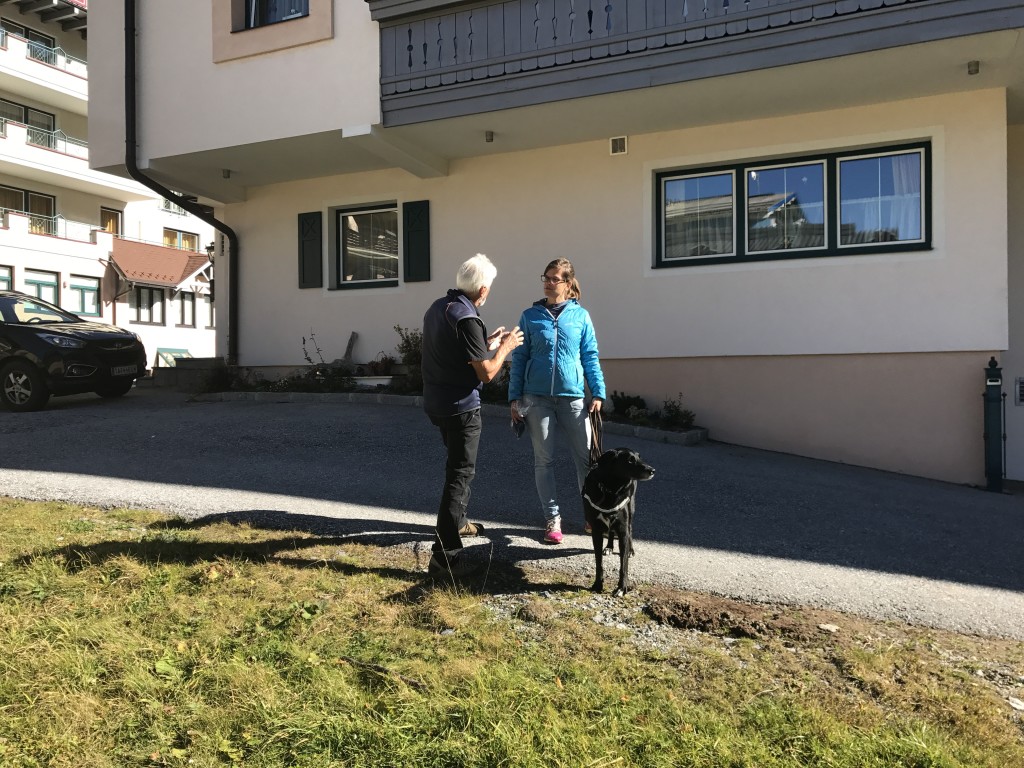 Bild_Trailen1_Hansehund_Hundeschule_Hamburg