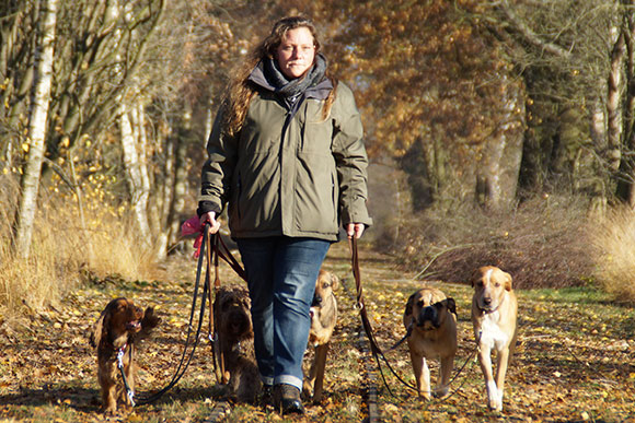 Hundebetreuung Hamburg Gassi Service Dogwalking