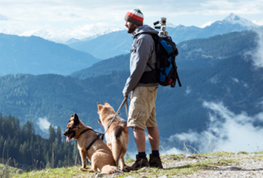 teaser_reisen_ausfluege Reisen und Ausflüge mit Hunden